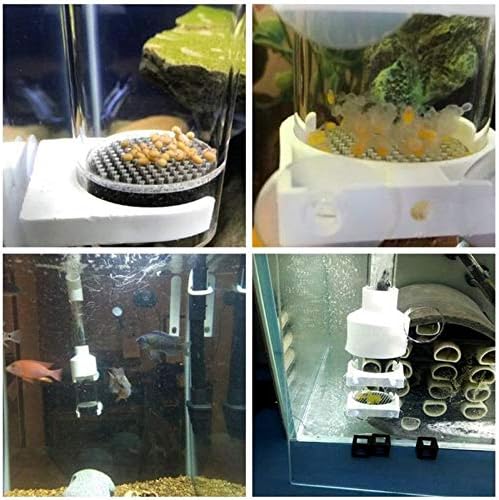 Fish Hatchery Incubator Acrylic Aquarium Cichlids Egg Tumbler Nursery Mouth-Brooding Aquatic Pet Hatching Breeder Fish Hatch Tool