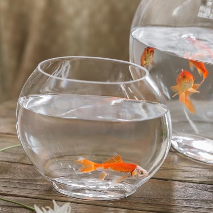 Multi-Function Glass Fish .84 Inch Transparent Aquarium Bowl with Fish Accessories for Home Desktop Office Decor