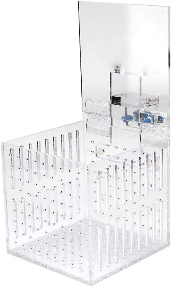 Strip Holes Design Adjustable Fishes Breeding Boxes, Aquarium Isolation Box, Fish Shrimp Clownfish for Preventing Fighting Fish Hatching Breeding