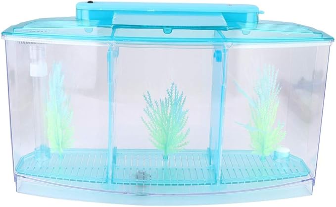 Small Fish Isolation Fish Tank, LED Acrylic Aquarium Fish Tank, Transparent Fish Isolation Box with 2 Isolation Plates for Small Fishes Betta Shrimp Guppy (Blue)