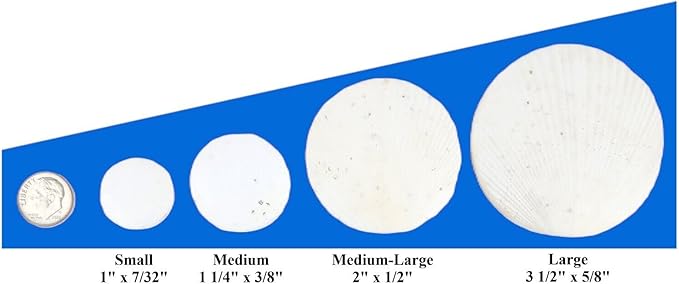 Small & Medium Calcium Feeder Disks for Shrimp, Snails, Crabs, Crayfish, Hermit Crabs and All Tropical Fish…30 Count Bag of Small & Medium
