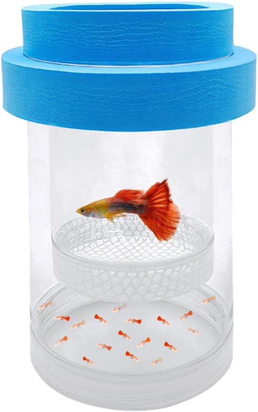 Floating Fish Breeding Isolation Box for Aquarium Tank Plastic Mesh Hatchery Incubator Breeder Box for Baby Fish Betta Shrimp Clownfish Guppy (Blue, Medium)