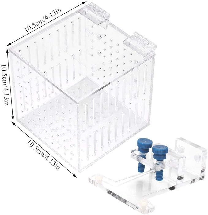 Strip Holes Design Adjustable Fishes Breeding Boxes, Aquarium Isolation Box, Fish Shrimp Clownfish for Preventing Fighting Fish Hatching Breeding
