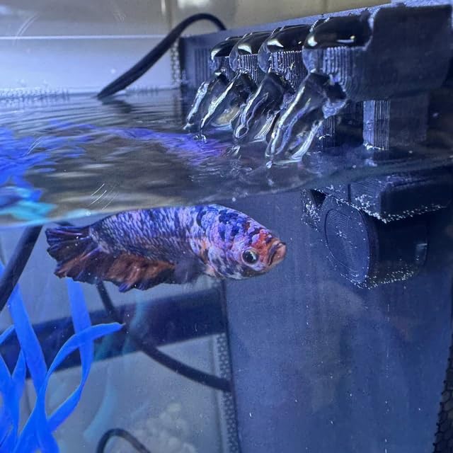 Fountain Nozzle for Fluval SPEC V 5G Aquarium Betta Safe for Gentle Flow