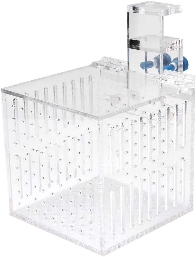 Strip Holes Design Adjustable Fishes Breeding Boxes, Aquarium Isolation Box, Fish Shrimp Clownfish for Preventing Fighting Fish Hatching Breeding