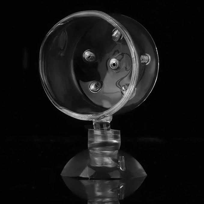 Shrimp Feeding Dish, Transparent Aquarium Feeding Dish with Strong Suction, No Mess Aquarium Glass Feeder for Feeding Shrimp, Fish and Reptiles in Tank, Glass Hole Cup