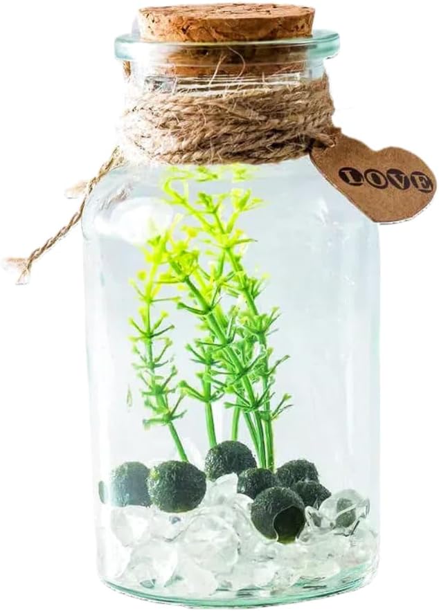 Moss Balls Glass Terrarium Kit,7 Pcs Lucky Moss Balls Pets,White Crystal,Artificial Plants,Aquarium Decor DIY Starter with Moss for Adults and Kids, Green Decor