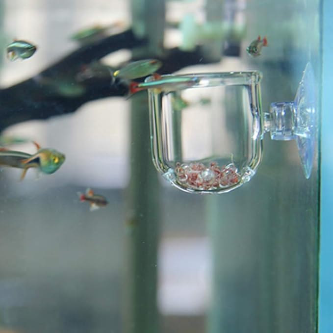 Shrimp Feeding Dish, Transparent Aquarium Feeding Dish with Strong Suction, No Mess Aquarium Glass Feeder for Feeding Shrimp, Fish and Reptiles in Tank, Glass Hole Cup