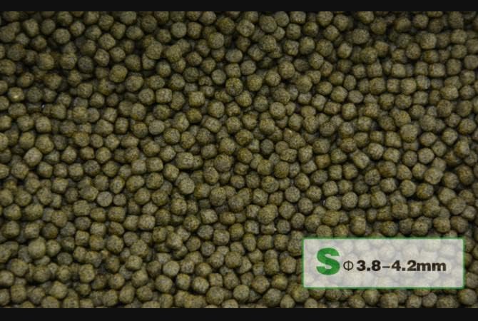 Staple Fish Food, 2.2-Pound/Bag, Small - Aqua Master