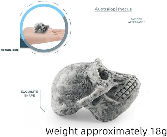 2inch Aquarium Decoration Realistic Animal Skulls Fish Tank Small Skull, Resin Skull Figurine Fish Shrimp Shelter Cave Hideout Turtle Hidden Tank Decoration,Mini Micro Landscaping Decor (8, Brown)