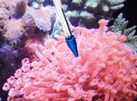 Coral Feeder SPS HPS Long Version CFT-2 for Marine Fish Reef Aquarium, 55CM Tube (21.65 in), Acrylic Tube Feeding Tool for Reef Corals Anemones Eels Lionfish Liquid Fertilizer Accurate Dispenser
