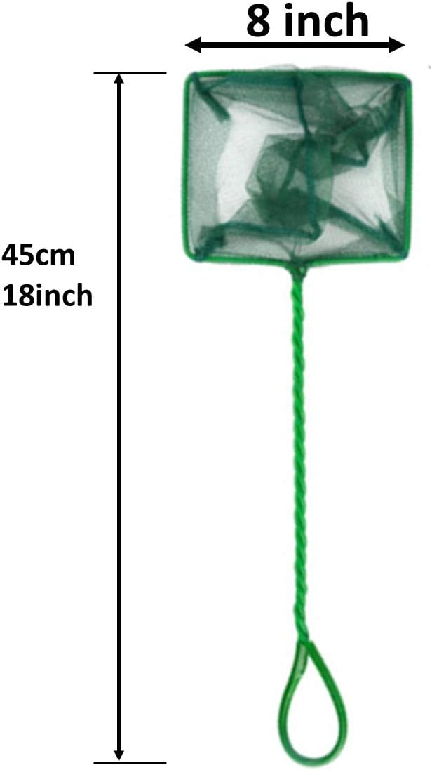3inch 4inch 5inch 6inch 8inch Aquarium Fish Net Small Nylon Fishing Nets with Plastic Handle for Fish Tank