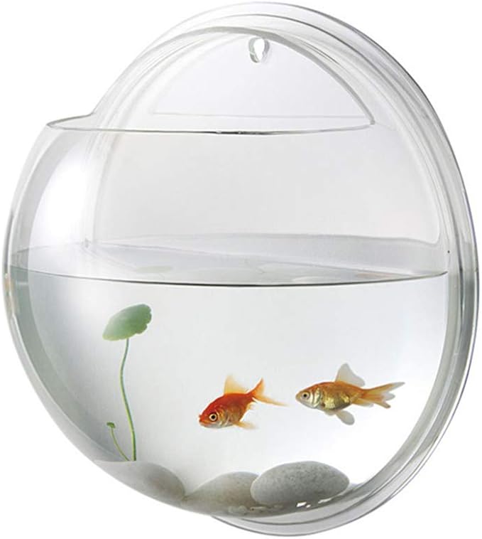 Aquarium Wall Mounted Plant Bowl - 6 Inch Round Acrylic Betta Fish Tank, Hanging Bubble Vase for Plant Propagation & Home Office Wall Decorations