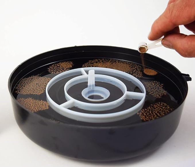 Brine Shrimp Hatchery Dish + 3 Months Supply of Brine Shrimp Eggs (1.75oz Grade A)