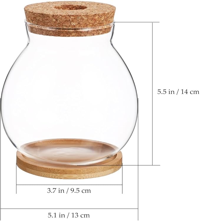 Balacoo Desktop Hydroponic Fish Bowl - Clear Glass Fish Tank with Bamboo Cushion and Wood Lid, Small Betta Fish Plants Terrarium for Home and Office Plant Decoration