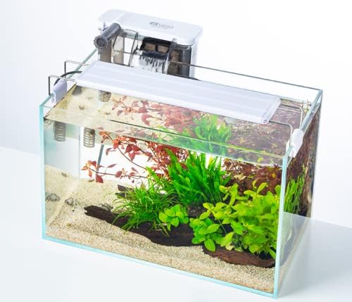 Rimless Low Iron, Glass Aquarium Tank 5mm Thickness Standard Jointed (7.8" L × 8.6" W × 11" H)