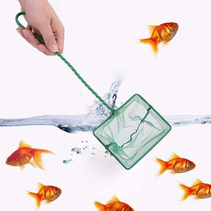 Fishing Landing Net, Portable Catch and Release Fish Net Fish Skimming Net Goldfish Net Floating Debris Clean Tools for Aquarium Fishbowl Fish (6 inch)