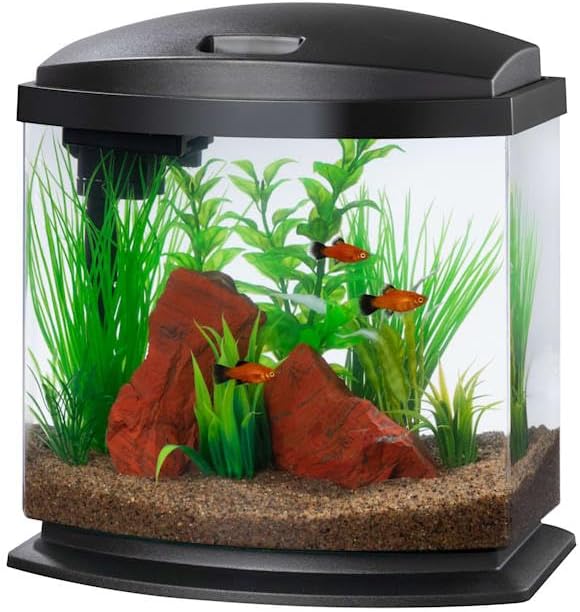 Aqueon 00800199: Aquarium Kit Mini Bow Led Blk 2.5G