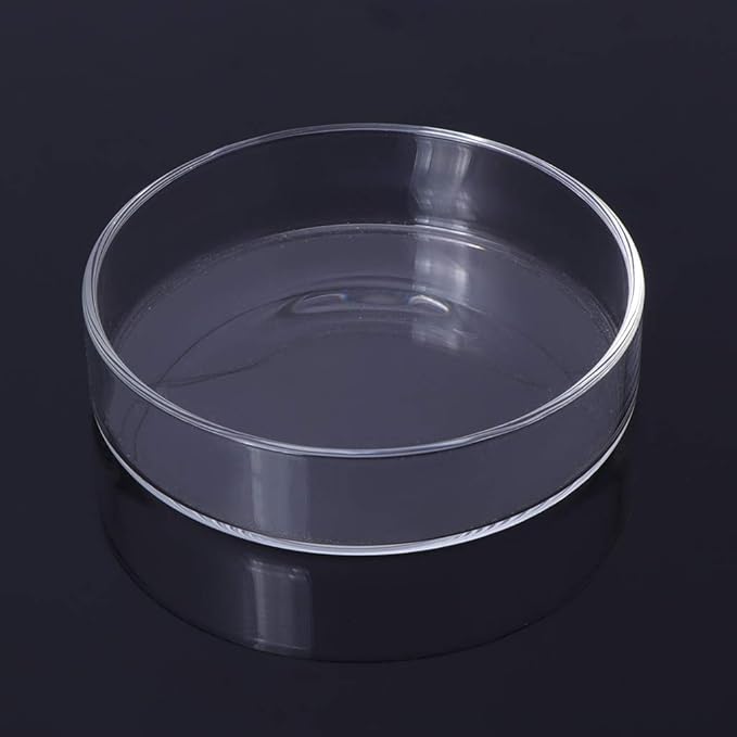 Youngy Arrival Fish Tank Feeder Aquarium Shrimp Glass Feeding Bowl Dish Tray 6 Size - D