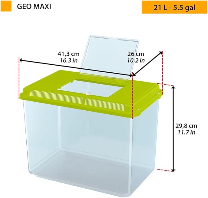 GEO MAXI / Acid green