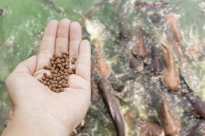 CZ Grain Premium Floating Fish Food Pellets | Pond or Lake Fish Food, Bring Fish to the Surface for Feeding (1 Pound)