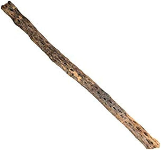 Galapagos 05274 Branched Cholla Wood for Aquarium, Natural