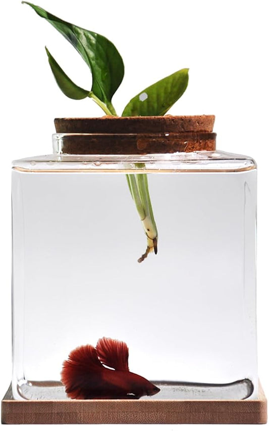 Desktop Betta Fish Tank with Wood Lid and Bamboo Stand Small Fish Bowl Glass for Beta Fish Hydroponic Plant Terrarium Aquarium Starter Kit 0.5 Gallon