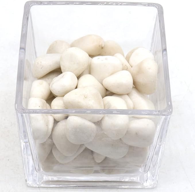 White Rocks for Plants. White Decorative Polished Pebbles. 1 to 2 Inch – 10lbs for Plants, Garden, Succulents, pots, Plants (MD (1 to 2 Inch), White - Lightly Polished, 10)