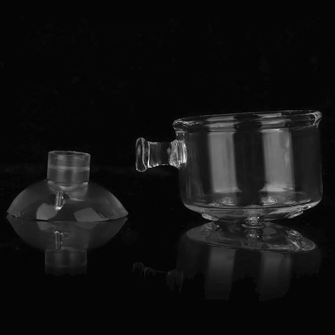 Shrimp Feeding Dish, Transparent Aquarium Feeding Dish with Strong Suction, No Mess Aquarium Glass Feeder for Feeding Shrimp, Fish and Reptiles in Tank, Glass Hole Cup