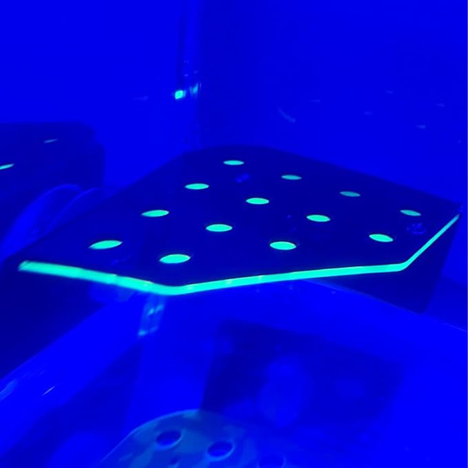 Coral Frag Rack, Magnetic Frag Coral Rack Fluorescent Green Safe Stable 13 Holes Acrylic Coral Rack with Magnetic Suction Aquarium Spare Parts for Saltwater Aquarium, Live Coral, Household Fish Tanks