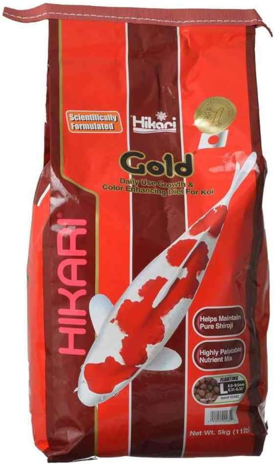 Hikari Usa Inc AHK02482 Gold 11lb Large