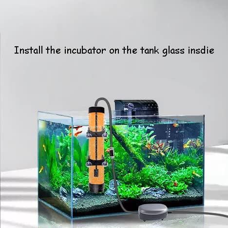 Brine Shrimp Hatchery Kits brines Shrimps Eggs Incubator Hatchery brine Shrimp Eggs Incubator Artemia Hatcherying with Silver air Pump