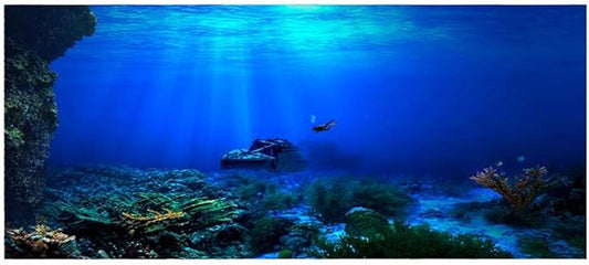Huhushop Aquarium Background,HD Undersea Coral Reef Photo Wall Paper,Aquarium Fish Sea Mural,XXL Undersea Underwater World Wall Decoration (122x46cm)