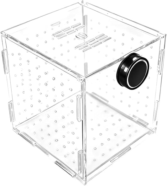 Fish Breeding Box, Acrylic Fish Isolation Container Aquariums Incubator with Magnetic Fixing for Fishes Shrimps