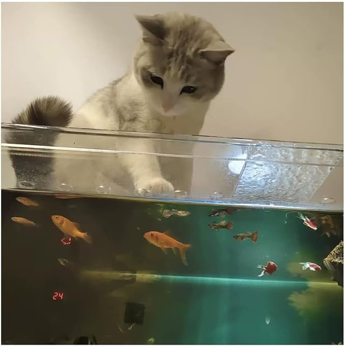 Rygcrud Large Acrylic Fish Tank Lid, Cuttable Aquarium Hood with Air Hole, Transparency Cat Proof Cover Jumping Proof for Fish(60x50x2.5cm)