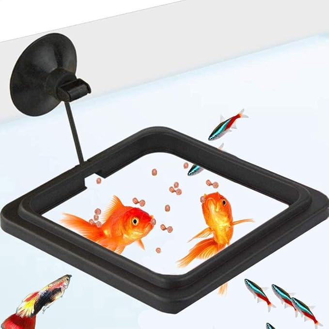 Fish Feeding Ring, Fish Floating Food Feeder with Suction Cup Square Shape Tank Feeder Aquarium Turtle Tank Accessories Food Goldfish, Turtle(Round,Black)