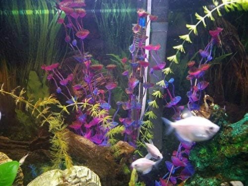 Superdream Landscaping Water Plant Decoration for Aquarium, 7.87-Inch, Purple Red