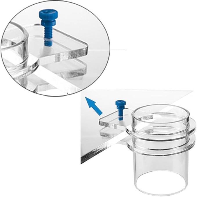 Fish Feeder, Clear Fish Feeding Ring Food Feeder, Prevent Fish Food from Spreading for Fish Tank, Aquarium, 100mm
