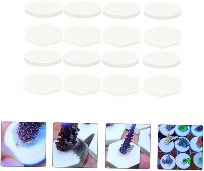 balacoo 30pcs Coral Breeding Bases Lightweight Stable Ceramic Reef Accessories for Coral Propagation for Hard and Aquariums Supports Growth Reproduction