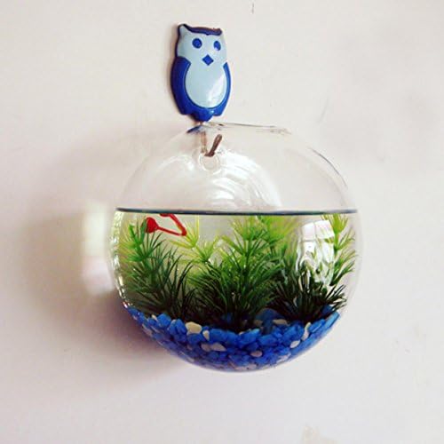 Wall Mounted Acrylic Fish Bowl