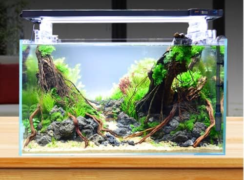 Rimless Low Iron 2.1 Gallon Glass Aquarium Tank 7.8" L × 7.8" W × 7.8" H / 20cm x 20cm x 20cm, 5mm Thickness Standard Jointed