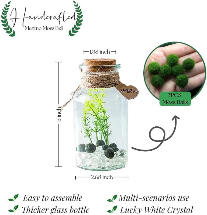 Moss Balls Glass Terrarium Kit,7 Pcs Lucky Moss Balls Pets,White Crystal,Artificial Plants,Aquarium Decor DIY Starter with Moss for Adults and Kids, Green Decor