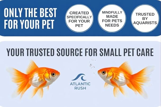 Vacation Feeder for Aquarium - 14 Day Feeder Block - Slow Release Fish Food for Betta, Goldfish & Tropical Fish - Aquatic Pet Tank Food (1 Pack of 2 Blocks)