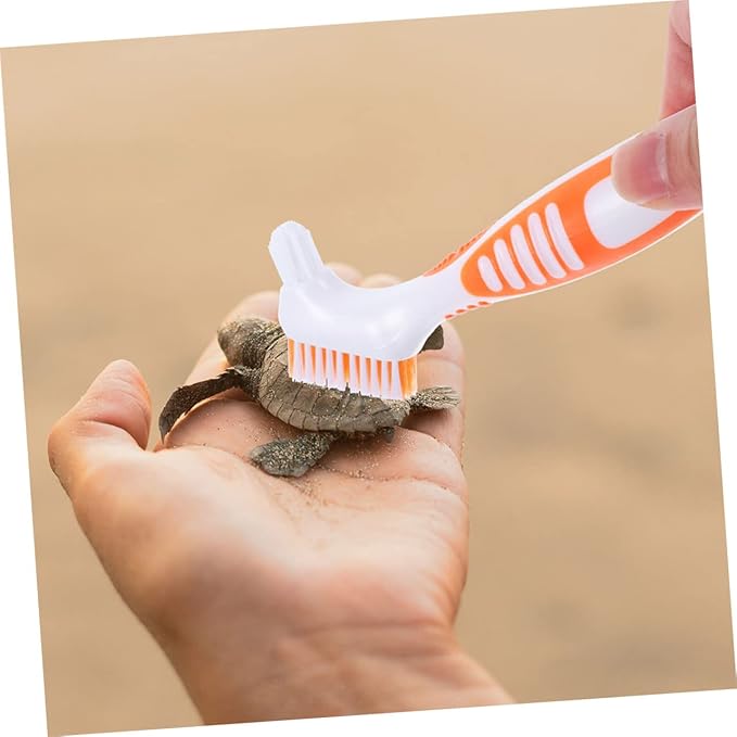 2Pcs Turtle Shell Cleaning Brush Aquatic Tortoise Mud Multi-Functional Brush with Dense Bristles for Shell Cleaning for Turtle Conch Care