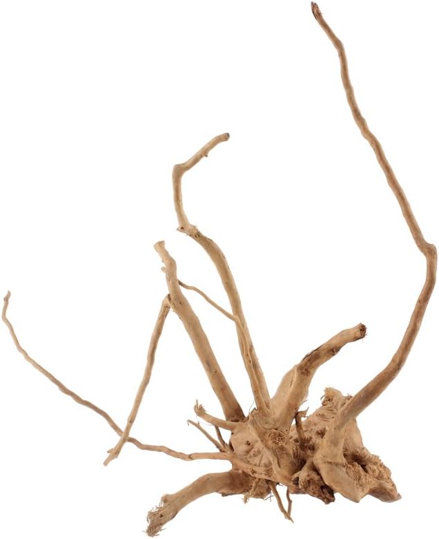 Emours Natural Aquarium Spider Wood Driftwood Tropical Fish Plant Habitat Decor Vary Sizes, 2 Pcs Set (Medium)