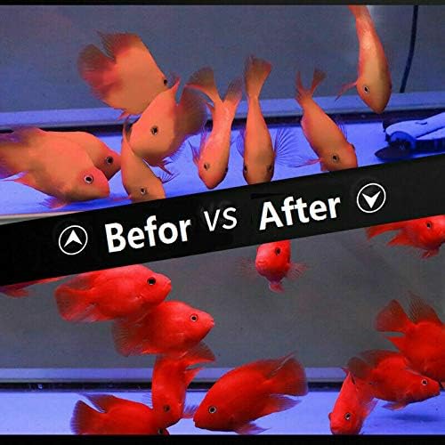 High Protein Floating Sticks Fish Pellets for Arowana, Oscars, Flower Horns, Red Parrots, 1kg (2.2lb)