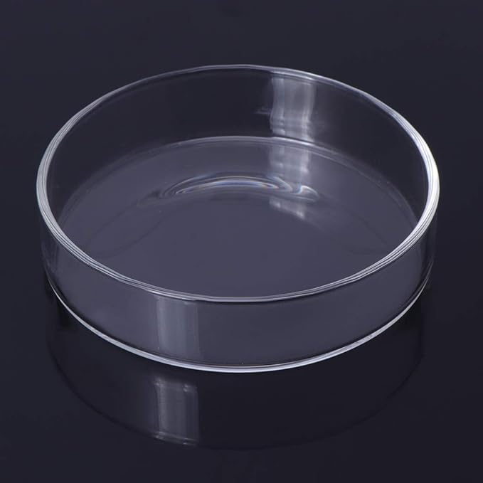 Fish Tank Feeding Bowl Dish Tray Feeder Aquarium Shrimp Glass - A