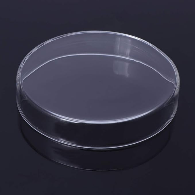 Youngy Arrival Fish Tank Feeder Aquarium Shrimp Glass Feeding Bowl Dish Tray 6 Size - D