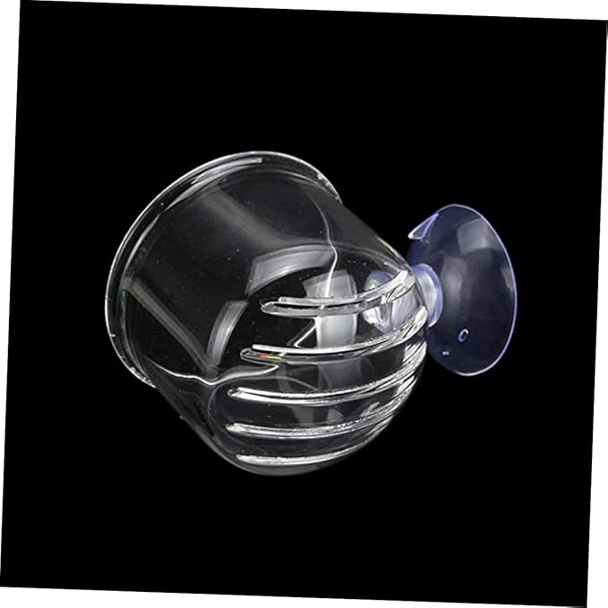 BESPORTBLE 2-piece Glass Feeding Cup for Fresh Saltwater Aquariums Fish Feeder Suction Cup Ideal for Brine Shrimp Eggs Aquarium Equipment Supplies Size s