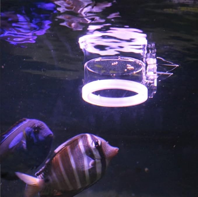 Fish Suction Cup Feeder, Acrylic Transparent Fish Rings Food Feeder Clear Fishes Feeding Ring with Anti Collision Strip Aquarium Feeding Rings for Aquarium Fishes